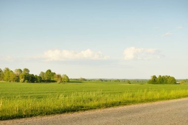 Güneşli bir günde yeşil tarlalarda ve ormanlarda araba sürmek. Açık mavi gökyüzü. Idyllic kırsal alanı, konsept manzarası. Doğa, uzak yerler, lojistik, yaz tatili, yol gezisi