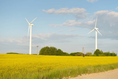 Güneşli bir yaz gününde patlayan sarı kolza tohumu tarlası. Arabadan bak. Rüzgar türbini jeneratörleri. Doğa, ekoloji, sürdürülebilir enerji, alternatif üretim, arz, altyapı, teknoloji