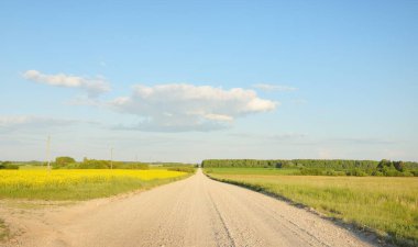 Sarı kolza tohumu tarlası ve ormanın içinden geçen köy yolu. Elektrik güç hattı. Açık mavi gökyüzü. İlahi kırsal bir manzara. Uzak yerler, lojistik, iletişim, altyapı, ekoloji