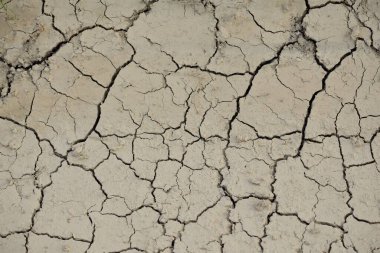 Çatlak asfalt yol, doku, yakın çekim. Monokrom, siyah beyaz görüntü, grafik kaynaklar, soyut desen. Tehlikeli sürüş, güvenlik, ekonomik düşüş ve sosyal sorunlar