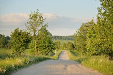 Güneşli bir günde yeşil tarlalarda ve ormanlarda araba sürmek. Açık mavi gökyüzü. Idyllic kırsal alanı, konsept manzarası. Doğa, uzak yerler, lojistik, yaz tatili, yol gezisi