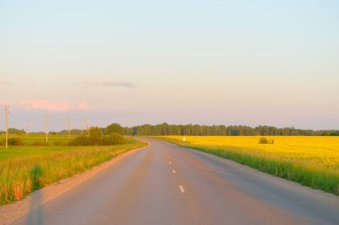 Sarı kolza tohumu tarlasının içinden. Açık mavi gökyüzü. Elektrik hattı var. Idyllic kırsal kesim. Tarım, akaryakıt endüstrisi, alternatif enerji, çevresel koruma, uzak yerler
