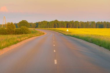 Sarı kolza tohumu tarlasının içinden. Açık mavi gökyüzü. Elektrik hattı var. Idyllic kırsal kesim. Tarım, akaryakıt endüstrisi, alternatif enerji, çevresel koruma, uzak yerler