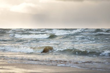 Kumlu bir sahilden (kum tepeleri) Baltık denizinin panoramik görüntüsü. Koyu bulutlu dramatik bir gökyüzü. Dalgalar, su sıçramaları. Idyllic deniz manzarası. Sıcak kış havası, iklim değişikliği, doğa. Danimarka