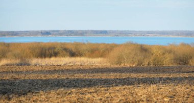 Gün batımında Mavi Orman Gölü 'nün (nehir) panoramik manzarası. Yumuşak güneş ışığı, berrak gökyüzü, suya yansıyan yansımalar. Altın boğa. Baharın başında. Idyllic manzara. Doğa, çevre, ekoloji, eko-turizm