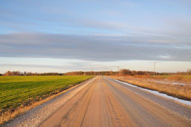 Kırsal yol gün batımında orman ve tarla boyunca. Elektrik hattı, yakın plan. Idyllic bahar manzarası. Parlayan bulutlu açık mavi gökyüzü. Doğa, seyahat, yerel turizm, lojistik, uzak yerler