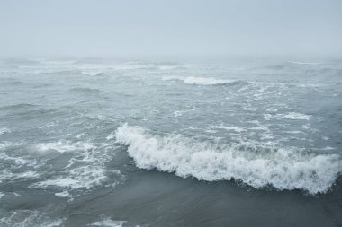 Kalın beyaz bir sis içinde Baltık Denizi. Dalgalar, su sıçratma, fırtına. Doğal dokular. Resimli panoramik monokrom manzarası, deniz manzarası. Doğa, çevre, sert hava, tehlike. Turkuaz rengi