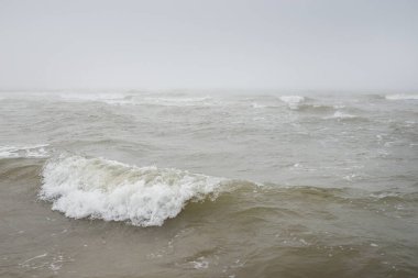 Kalın beyaz bir sis içinde Baltık Denizi. Dalgalar, su sıçratma, fırtına. Doğal dokular. Resimli panoramik monokrom manzarası, deniz manzarası. Doğa, çevre, sert hava, gemi enkazı, tehlike