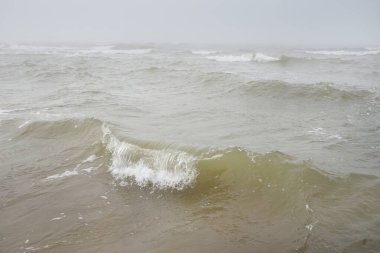 Kalın beyaz bir sis içinde Baltık Denizi. Dalgalar, su sıçratma, fırtına. Doğal dokular. Resimli panoramik monokrom manzarası, deniz manzarası. Doğa, çevre, sert hava, gemi enkazı, tehlike