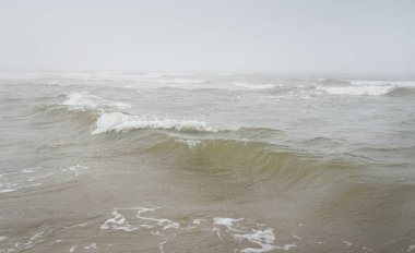 Kalın beyaz bir sis içinde Baltık Denizi. Dalgalar, su sıçratma, fırtına. Doğal dokular. Resimli panoramik monokrom manzarası, deniz manzarası. Doğa, çevre, sert hava, gemi enkazı, tehlike