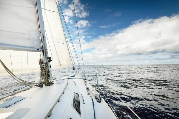 Açık Bir Günde Açık Denizde Yelken Açan Beyaz Yelkenli Bir — Stok fotoğraf