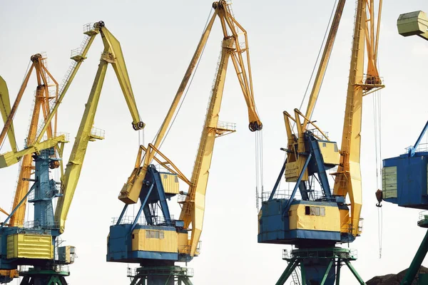 Modern Coal Terminal Riga Latvia Cranes Close Baltic Sea Freight — Stock Photo, Image
