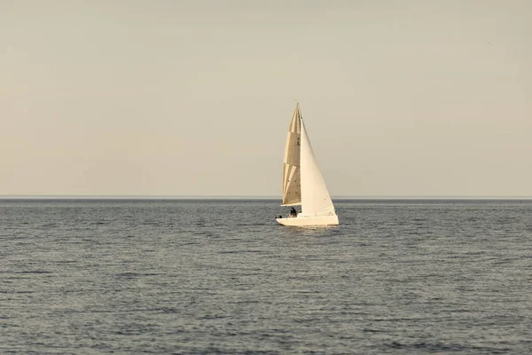 Bílá Šalupa Manipulované Jachty Plachtění Baltském Moři Při Západu Slunce — Stock fotografie