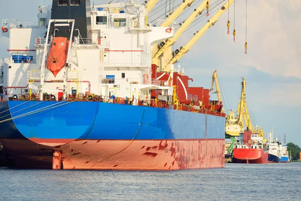 Large Cargo Ship Bulk Carrier 187 Meters Length Loading Port — Stock Photo, Image