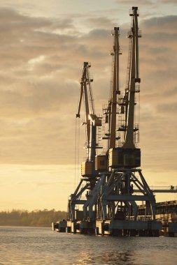 Riga, Letonya 'daki modern kargo limanı terminali. Vinçler yakın plan. Dramatik bir gökyüzü. Baltık Denizi. Yük taşımacılığı, lojistik, küresel iletişim, ekonomi, ticaret, sanayi, arz, özel ekipman