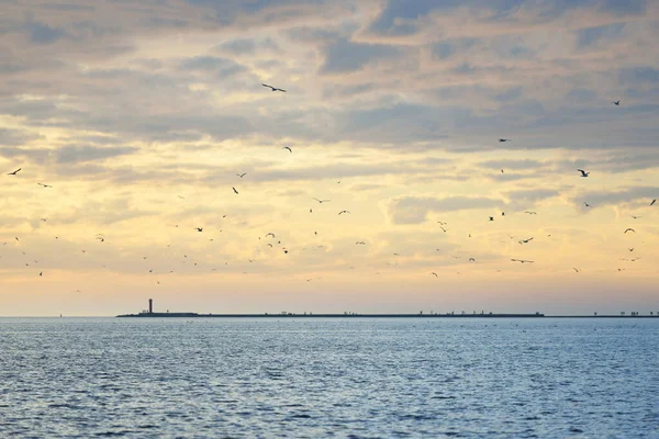 Baltic Sea Storm Panoramic View Sailing Boat Lighthouse Seagulls Dramatic — Stock Photo, Image