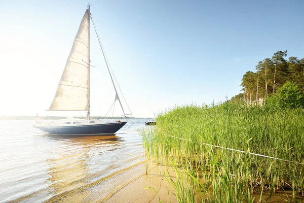 Blue Sloop Rigged Yacht Anchored Sandy Shore Beach Overgrown Grass — Stock Photo, Image