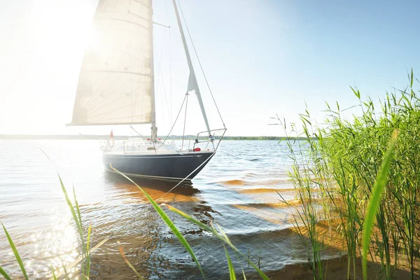 Blue Sloop Rigged Yacht Anchored Sandy Shore Beach Overgrown Grass — Stock Photo, Image