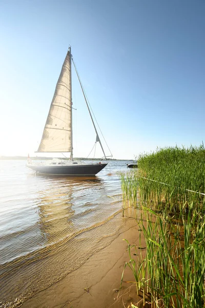 Blue Sloop Rigged Yacht Anchored Sandy Shore Beach Overgrown Grass — Stock Photo, Image