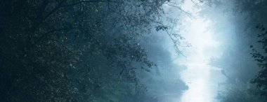 Gün doğumunda karanlık ormanda bir nehir. Saf sabah ışığı, güneş ışınları, sis, sis. Yaşlı ağaçlar, yosunlar, bitkiler. Valmiera, Letonya. Uzun pozlama. Atmosferik sonbahar manzarası. Sonbahar mevsimi, ekoloji