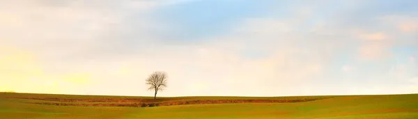 Malownicza Panoramiczna Sceneria Zielonego Zaoranego Pola Rolniczego Dramatyczne Niebo Świecącymi — Zdjęcie stockowe