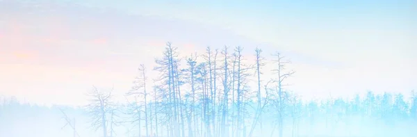 Кристально Чистое Озеро Болото Тумане Восходе Солнца Симметричные Отражения Воде — стоковое фото