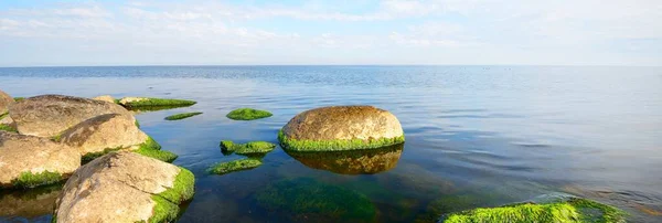 Güneşli Bir Yaz Gününde Baltık Denizi Nin Berrak Mavi Suları — Stok fotoğraf