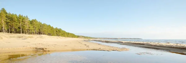 在阳光明媚的日子 波罗的海海岸 蔚蓝的天空 多云的云彩 水面上的反光 天然纹理 背景是松林 风景如画的全景 Idyllic海景 — 图库照片