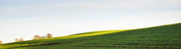 Groene Heuvels Land Landbouw Geploegd Veld Met Tractor Tracks Bij — Stockfoto