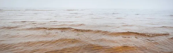 Αμμώδης Ακτή Της Βαλτικής Θάλασσας Μια Πυκνή Λευκή Πρωινή Ομίχλη — Φωτογραφία Αρχείου