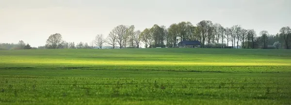 Groene Landbouwgrond Het Onweer Regen Oud Houten Huis Achtergrond Lente — Stockfoto