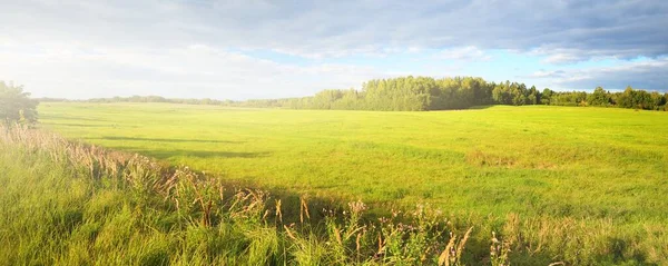 Green Field Dramatic Clouds Forest Background Idyllic Rural Scene Valmiera — Stock Photo, Image