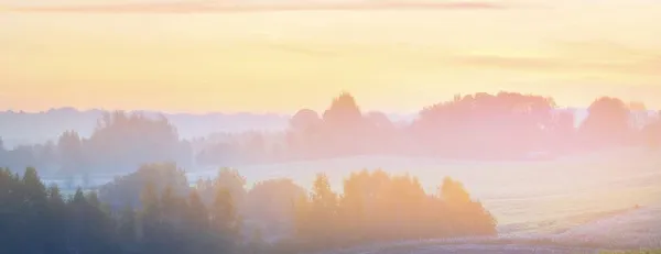 Лесные Холмы Тумане Рассвете Красочный Осенний Пейзаж Идиллическая Сельская Местность — стоковое фото