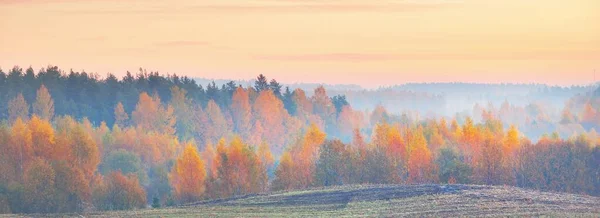 日出时分 森林群山笼罩在雾中 五彩缤纷的秋天风景 田园诗般的乡村风景 具有黄色 粉色和红色云彩的戏剧性天空 清澈的晨光风景如画的全景 — 图库照片