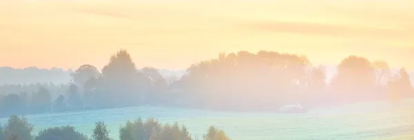 Лесные Холмы Тумане Рассвете Красочный Осенний Пейзаж Идиллическая Сельская Местность — стоковое фото