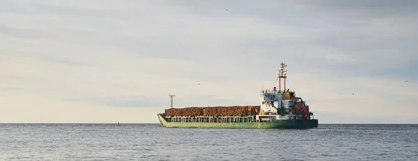 Gran Buque Carga Verde Con Leña Madera Mar Abierto Atardecer —  Fotos de Stock