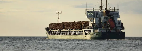 Duży Zielony Statek Towarowy Drewna Opałowego Drewna Otwartym Morzu Zachodzie — Zdjęcie stockowe