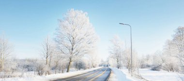Temizlikten sonra boş bir asfalt yol. Sokak fenerleri yakın plan. Taze karda araba izleri. Arka planda karla kaplı huş ağacı ormanı var. Açık mavi gökyüzü. Finlandiya 'da kış gezisi. Genel ısınma teması