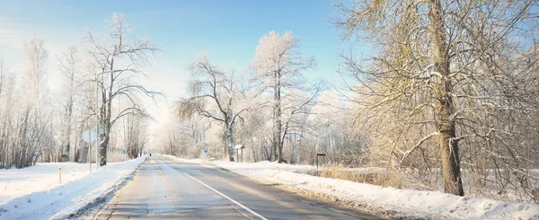 Pusta Asfaltowa Droga Oczyszczeniu Ślady Samochodów Świeżym Śniegu Ośnieżony Las — Zdjęcie stockowe