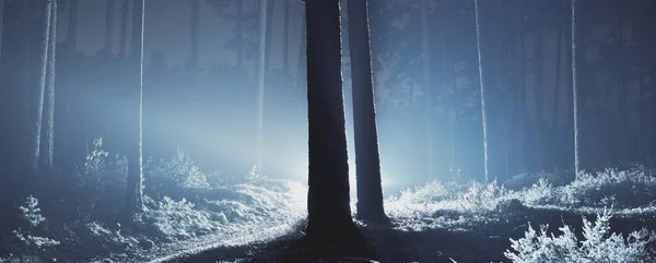 Floresta Coberta Neve Majestosa Nevoeiro Noite Paisagem Panorâmica Inverno Sílhuetas — Fotografia de Stock