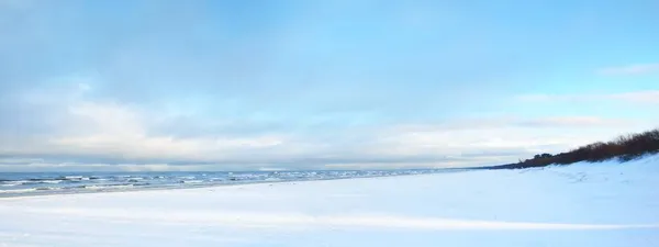 日没の雪に覆われたバルト海沿岸の景色 背景に針葉樹林 見事な雲景だ 妖精の青い夜の光 ラトビア — ストック写真