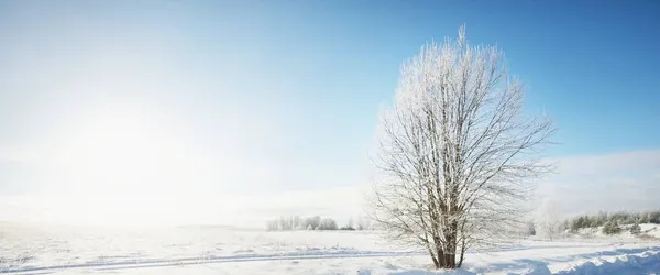 Snow Covered Single Lane Rural Road Fields Sunny Day Finland — Stock Photo, Image