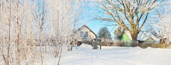 在暴风雪之后 在霜冻中的桦树 新雪上的人类脚印 后背是现代乡间别墅 晴朗的冬日 温暖的阳光 拉脱维亚 — 图库照片