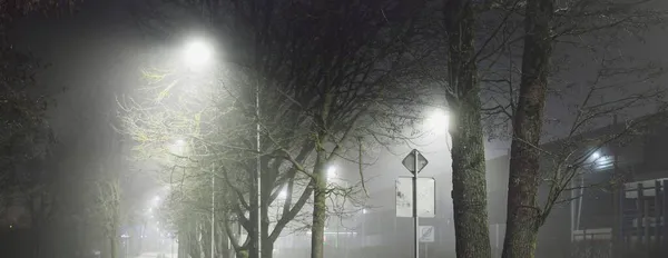 가로등 신호등이요 밤에는 거리에 도시의 모습을 그대로 줍니다 파노라마 — 스톡 사진