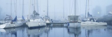 Yelkenli tekneler, güneşin doğuşunda yoğun beyaz bir sisle bir rıhtıma demirlediler. Kiel, Almanya 'daki yat kulübü. Spor, eğlence, ulaşım teması