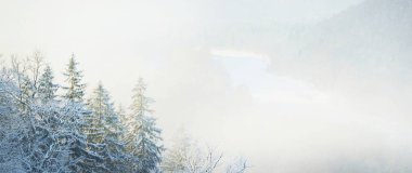 Sabah sisli bir kar fırtınasından sonra nehrin ve karla kaplı ormanın havadan görünüşü. Yakından firavun ağaçları. Açık mavi gökyüzü. Kış Harikalar Diyarı. Gauja Ulusal Parkı, Sigulda, Letonya