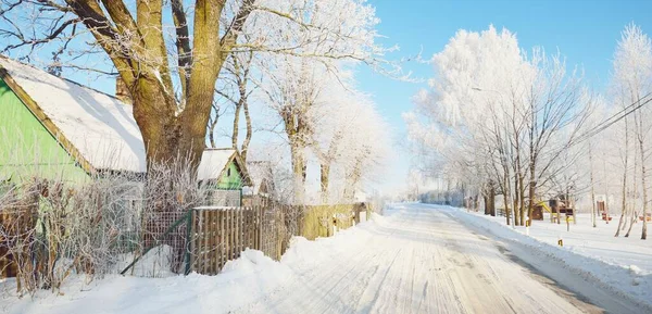 铺满白雪的乡间小路穿过木村的传统房屋 高大的树 温暖的阳光 清澈的冬日拉脱维亚 — 图库照片