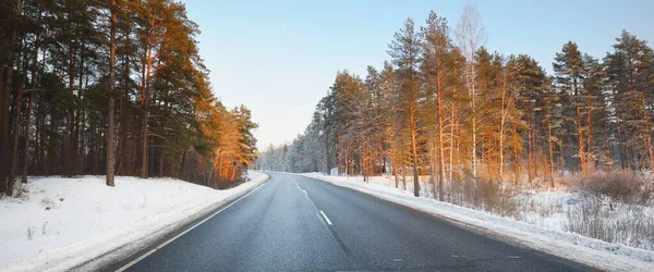Ren Tom Asfalterad Landsväg Genom Barrskogen Vid Solnedgången Tall Och — Stockfoto