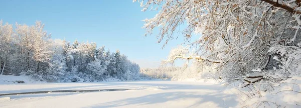 Fryst Flod Ram Snötäckta Träd Hes Frost Grenar Klarblå Himmel — Stockfoto