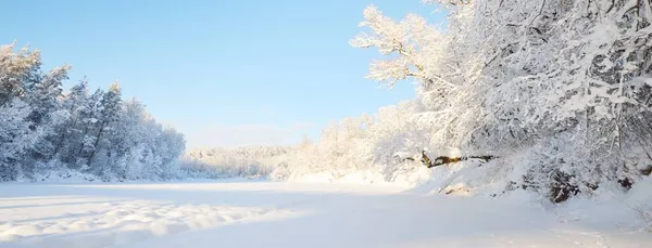 Karla Kaplı Ağaçlardan Oluşan Bir Çerçevede Donmuş Bir Nehir Dalların — Stok fotoğraf